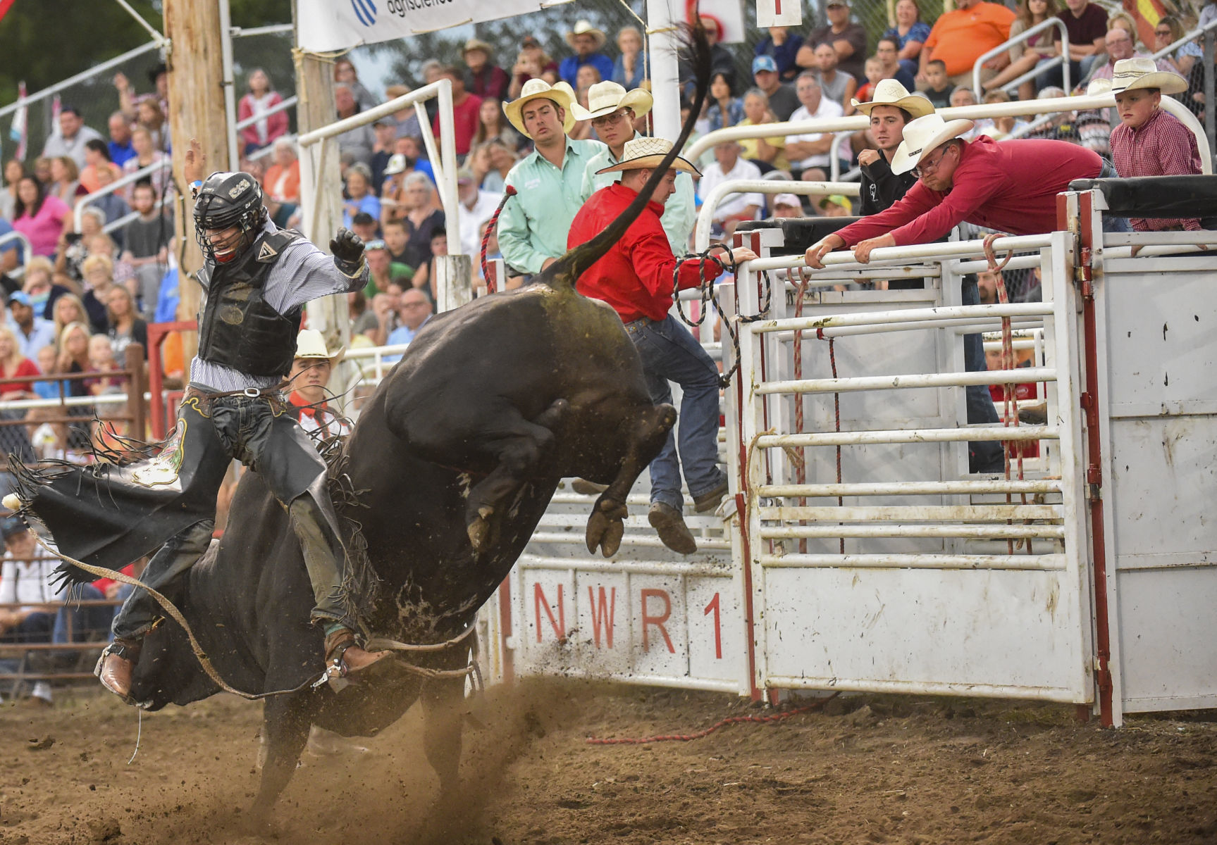 081619-mda-nws-rodeo-34.jpg